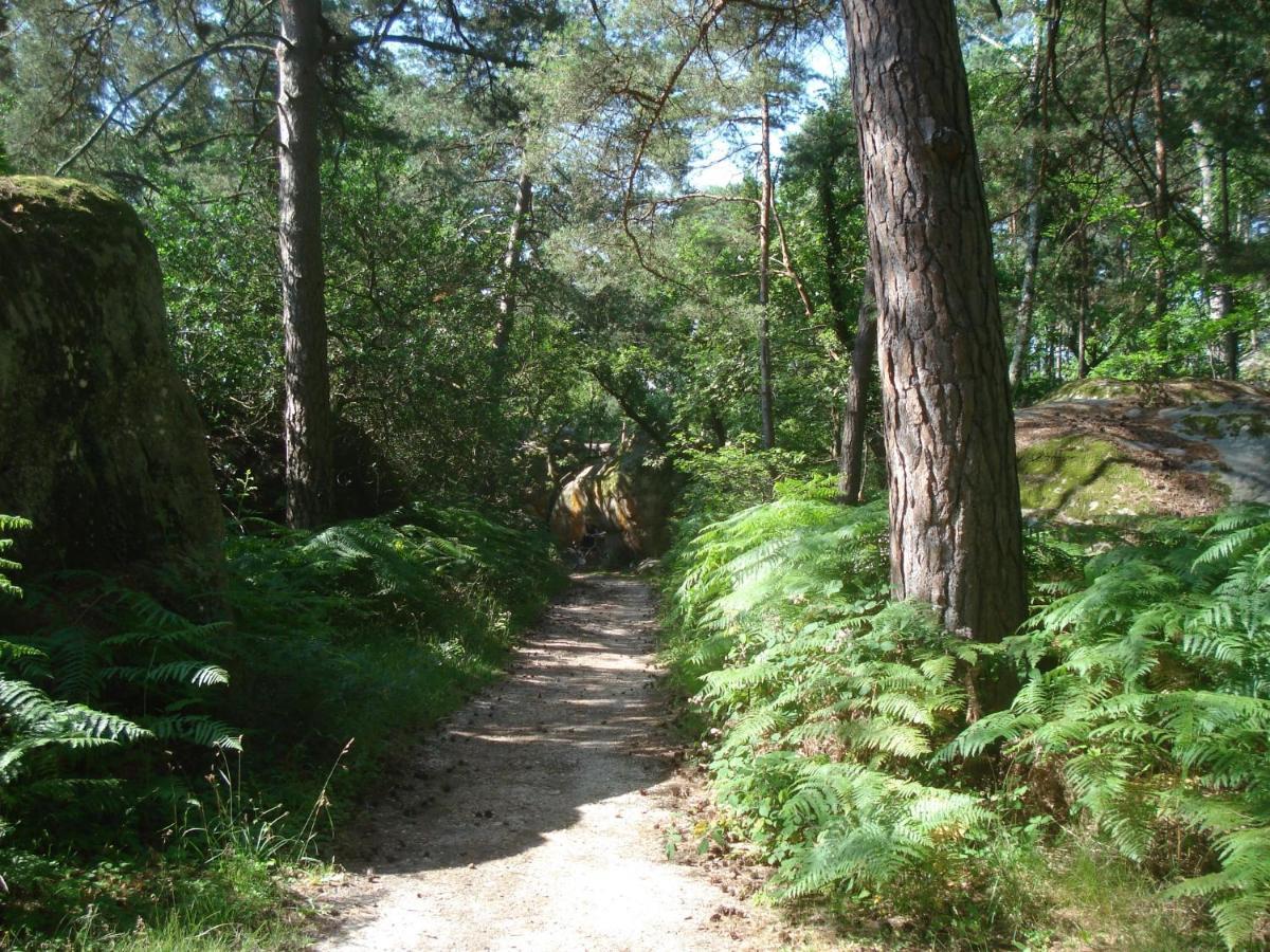 Les Premices De La Foret Chailly-en-Biere Εξωτερικό φωτογραφία