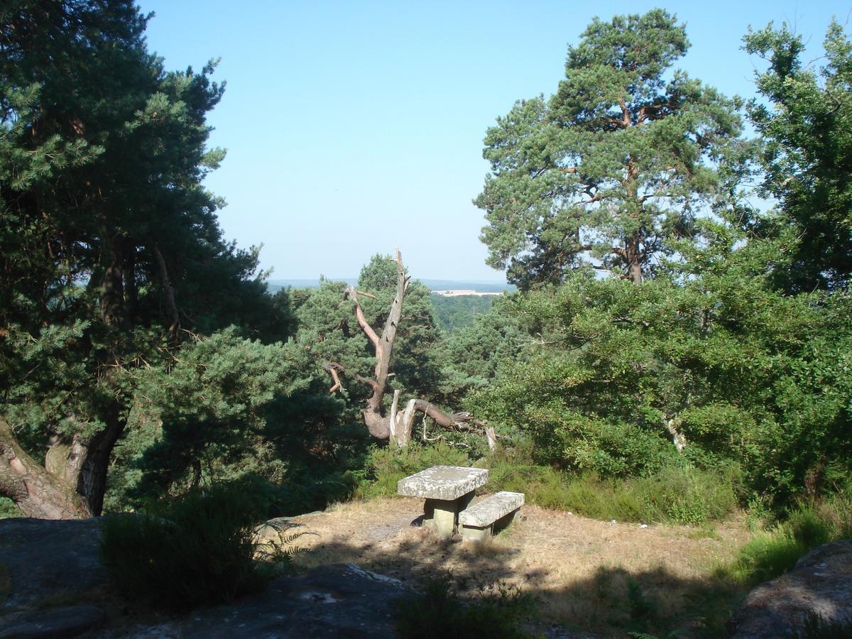 Les Premices De La Foret Chailly-en-Biere Εξωτερικό φωτογραφία