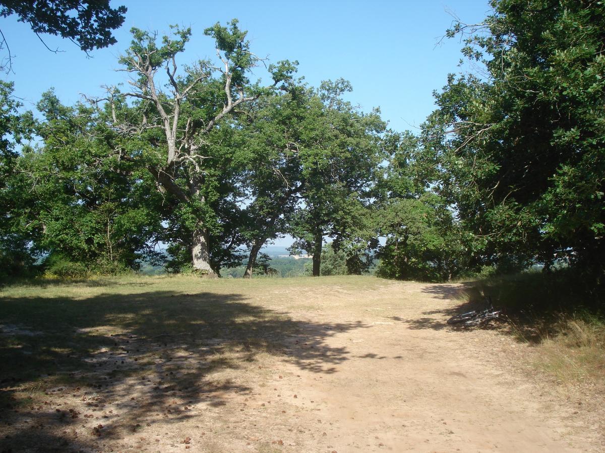 Les Premices De La Foret Chailly-en-Biere Εξωτερικό φωτογραφία